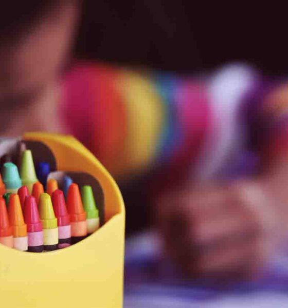 ¿Cuáles son los útiles escolares que conviene comprar por volumen?