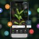 Tips y Trucos: Cómo aprovechar al máximo Visual Intelligence en tu iPhone