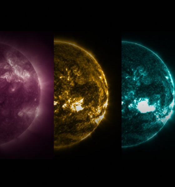 IBM y la NASA lanzan Surya: el primer modelo de IA de código abierto para predecir el clima solar