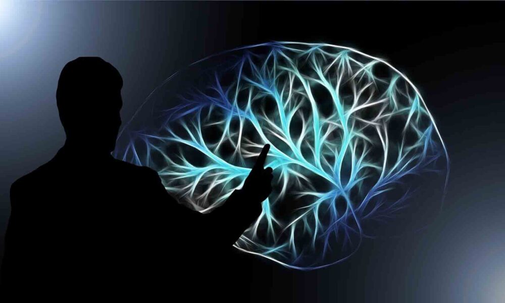 El bilingüismo transforma el cerebro: hallazgos clave de la neurociencia